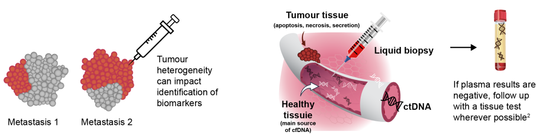 cfDNA cell-free DNA and ctDNA circulating tumour DNA